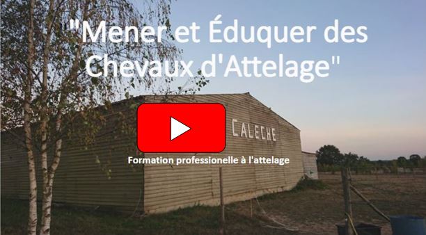 Lire vidéo